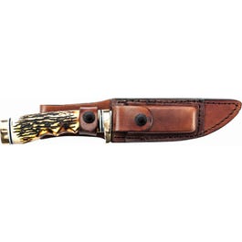 Golden Spike Knife Online Sale