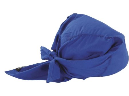 Ergodyne Chill-Its Triangle Hat Blue Cooling Bandana Online Hot Sale