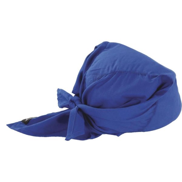 Ergodyne Chill-Its Triangle Hat Blue Cooling Bandana Online Hot Sale