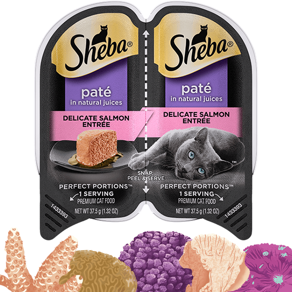 SHEBA® PERFECT PORTIONS™ Premium Paté Delicate Salmon Entrée Supply