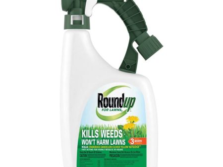 Roundup® for Northern Lawns Cheap