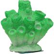 EXOTIC ENVIRONMENTS GREEN SPONGE CORAL Fashion