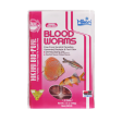 Hikari Frozen Blood Worms Online Sale