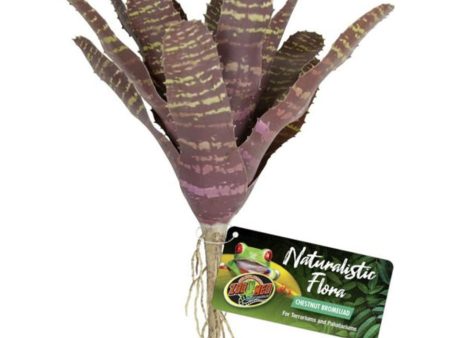 NATURALISTIC FLORA CHESTNUT BROMELIAD Supply