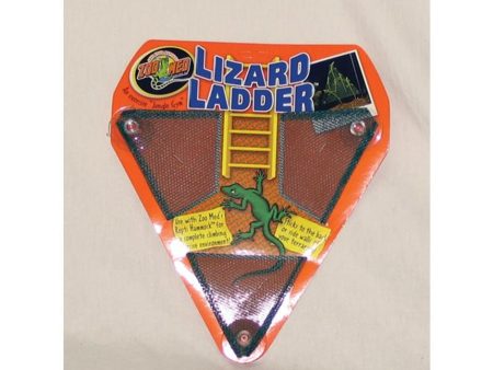 LIZARD LADDER Fashion