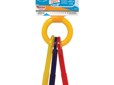 Nylabone Puppy Teething Chew Keys For Cheap