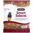 SMART SELECTS CANARY & FINCH For Sale