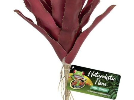 NATURALISTIC FLORA FIREBALL BROMELIAD Online Hot Sale