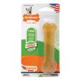 Nylabone FlexiChew Chicken Flavor Bone Dog Toy For Cheap