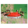 Classic Hummingbird Feeder, 12-oz. Online Hot Sale