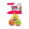 KONG AirDog Squeakair Birthday Balls Dog Toy For Cheap